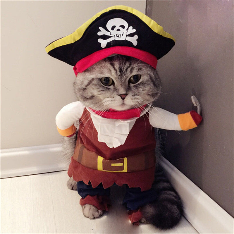 Cute Pirate Cat Costume
